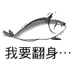 什么咸鱼翻身 不存在的 搜狐文化 搜狐网 