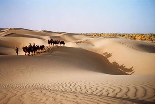 Taklimakan Desert Older Than Previous Estimates china.org.cn 