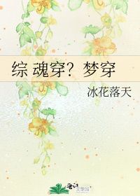 综 魂穿 梦穿 冰花落天 