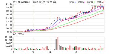 在股票中，大股东具体如何增持本公司的股份