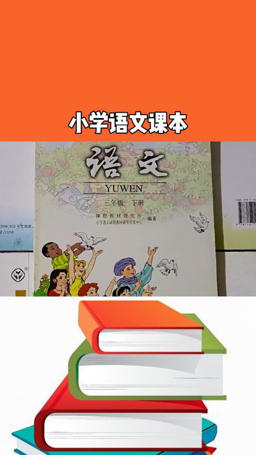 教材插图的特点,人教版数学插图的特点(图2)