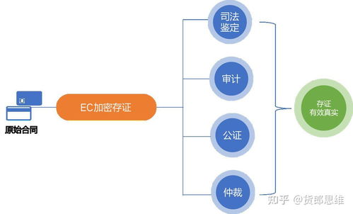 EC：破茧成蝶，重塑区块链实用价值