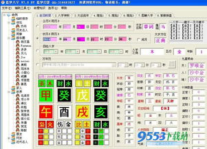 蓝梦八字排盘 蓝梦八字排盘下载 v7.0 官方版下载 9553下载 