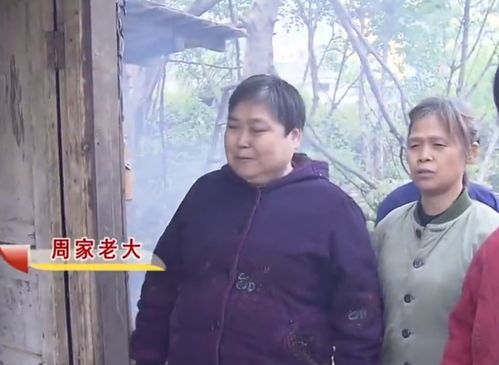 父母留下千万遗产,5姊妹联合大战独生子,谁知独子手握杀手锏