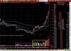 请问西水股份这支股票的净资产和资本公积金为什么这么高？