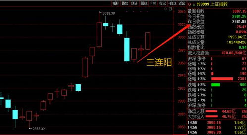 为什么现在有些市盈率3000还在说被低估了