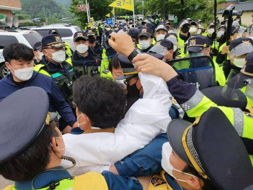 韩军一个月4次向萨德基地运物资 民众怒了 要去青瓦台抗议