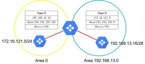 vlan和ospf哪个用的多