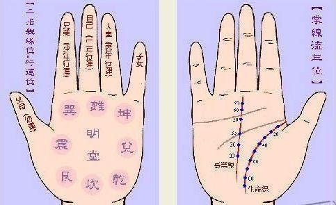 手相面相绝技口诀,八卦十二宫,万事都在一掌中