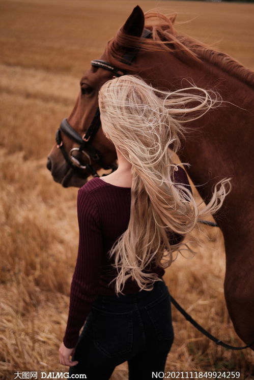 牵着一匹马的金发美女摄影高清图片