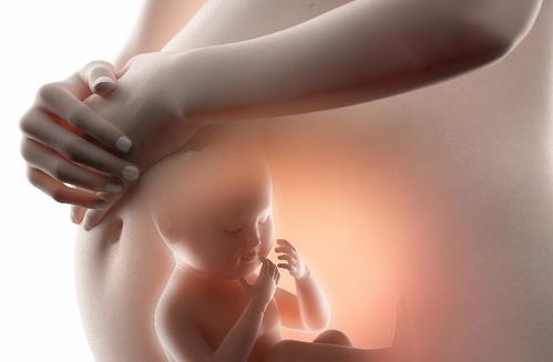 原创胎儿到了“猛长期”时，身体会有什么变化呢？不妨多了解！