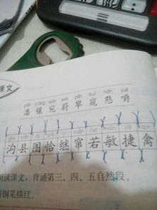 这些字怎么组词,每个字组两个 