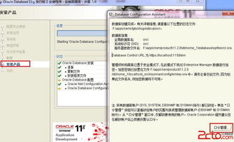 oracle11g安装win10