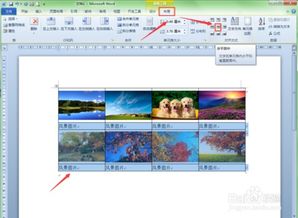 在word中怎样轻松地对多张图片和文字进行排版