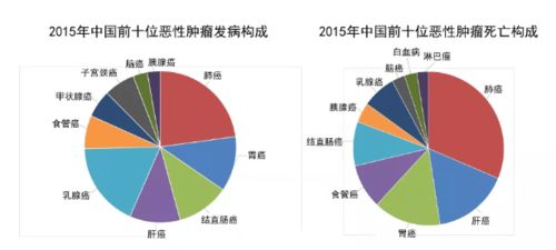 早期肺癌一定要做手术吗 广州泰和肿瘤医院专家带您走出误区