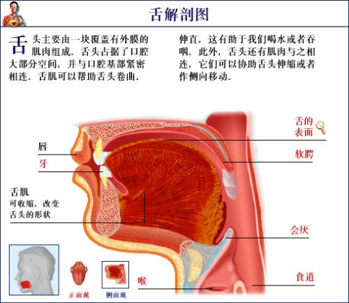 谁能提供几张医学的图片并写上名称 