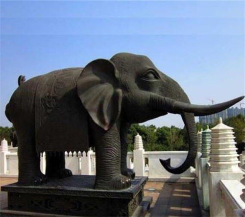 大象摆放运用(大象摆放位置示意图)