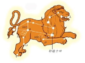 狮子座和其他星座的缘分值 
