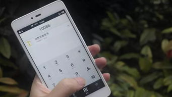 为什么中国的手机号码几乎都是以1开头的,能不能把1去掉