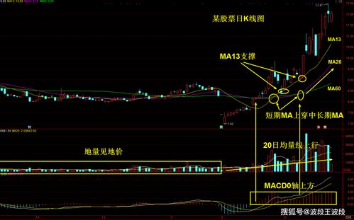 股市中五条ma坐标各代表什么意思