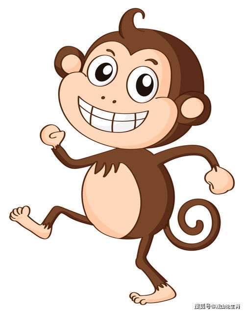 猴猴猴 80年的到了41岁,晚年该 何去何从 属猴人速看