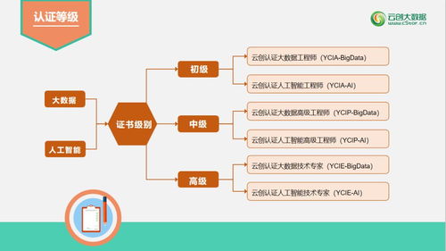 培训 认证 考证 就业四位一体,云创大学平台正式发布