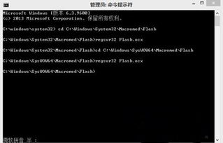 win10更新后Flash不显示