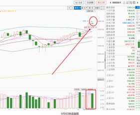 H1NI题材股票下周会有表现吗