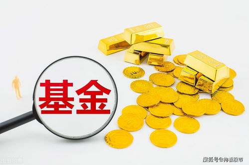 什么的基金能保本呢？怎么购买？最好详细点........谢谢！！