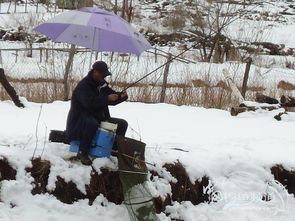 冬季下雪天可以钓鱼吗 下雪时鱼口会好吗 