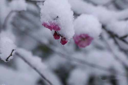 还好吗 我想抱抱你 空气 