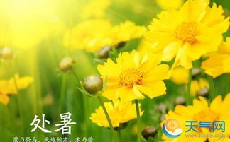 处暑是什么意思 2016年8月23日迎来处暑节气 