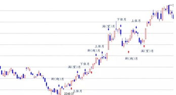 保险和金融和股票有关系吗