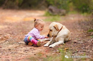 狗狗和孩子怎么友好相处 