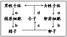 下列各选项中，两种量成正比例关系的是（　　）    A．要运货物的总吨数一定，每天运的吨数和需要的天数