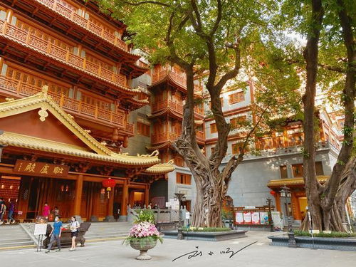 广州有一座著名的寺庙,就在最热闹的步行街旁边,游客都会去打卡