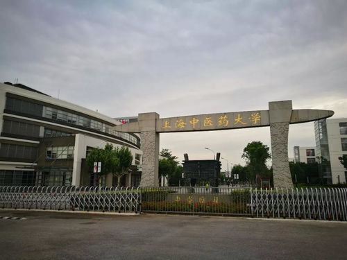 中医药大学都有什么系什么专业