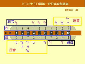 为什么布鲁斯口琴没有低音的 4 和 6 