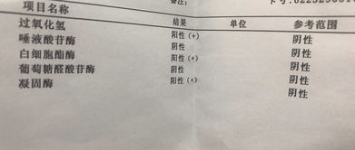 妇科炎症的检查结果会如何影响治疗方案？