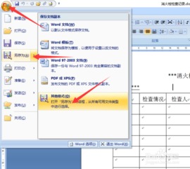 word2007怎么直接另存为PDF word转pdf插件的使用方法