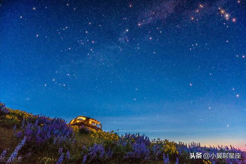 7.28 8.3星座周运势,双鱼座有桃花运,水瓶座享受好运气