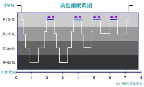 为什么人在睡觉时,大脑会做乱七八糟的梦 原来和记忆有关