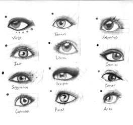 十二星座的眼睛素描