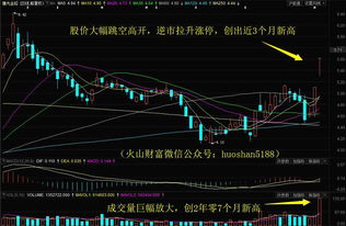 如何显示净流入额