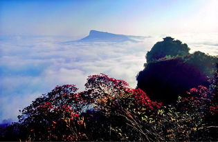 剑门关 摄影 冷帆 广元风景 美不胜收 