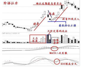 股票是开门涨停一直封到收盘,第二天继续涨的可能性大吗？