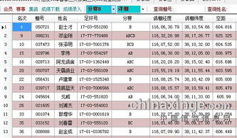 600公里指定临时成绩