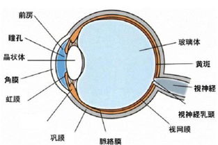 关爱眼睛,走进医学验光配镜