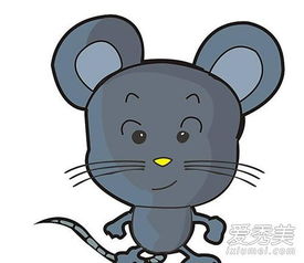 家里有老鼠怎么赶走 家里有老鼠怎么办能除根