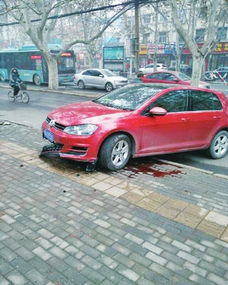 郑州女司机抱狗开车失控酿事故 幸无人员伤亡 